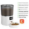 Automatic Pet Food Dispenser